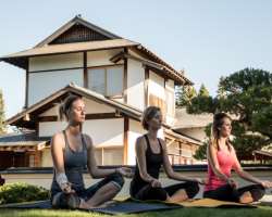 The garden organizes events like Flow yoga, Ochakai Thursdays, and Happy hours for the health benefit and entertainment of the visitors The garden organizes events like Flow yoga, Ochakai Thursdays, and Happy hours for the health benefit and entertainment of the visitors.